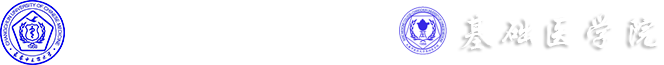 世俱杯sjb官网