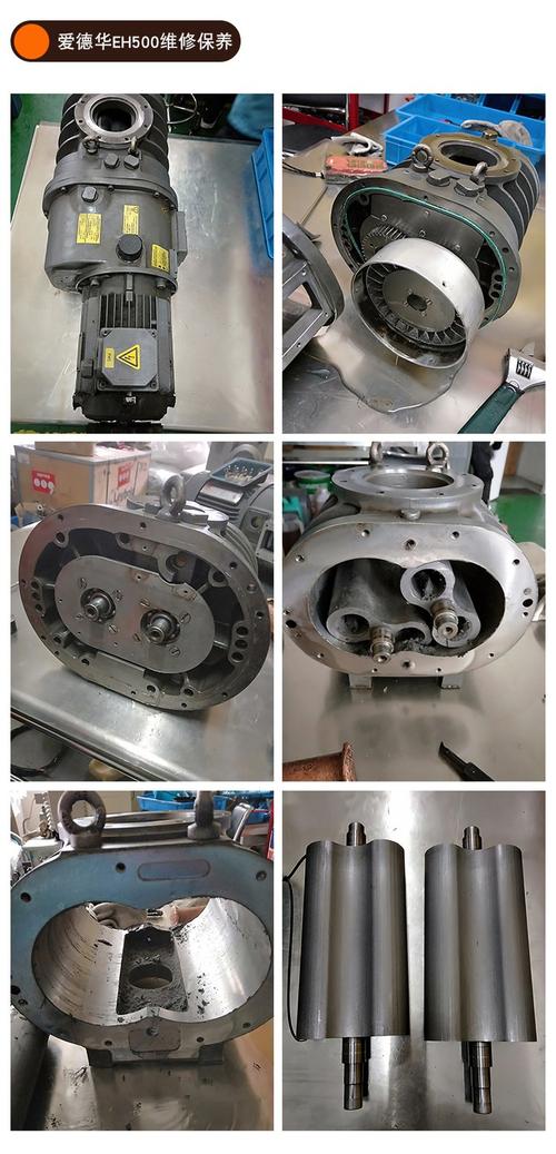 莱宝leybold真空泵维修保养 sv300b dv450配件更换 漏油噪音故障修理